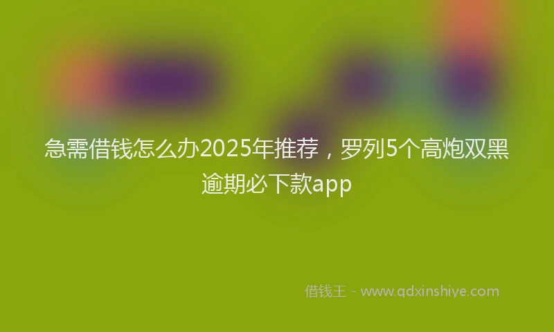 急需借钱怎么办2025年推荐，罗列5个高炮双黑逾期必下款app