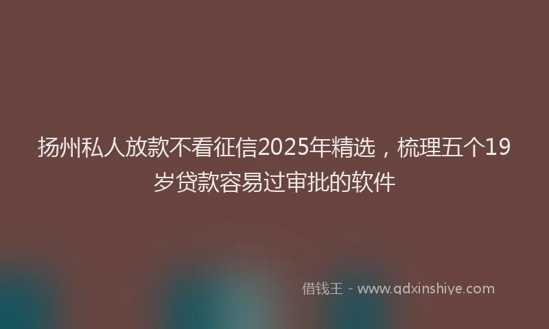 扬州私人放款不看征信2025年精选，梳理五个19岁贷款容易过审批的软件