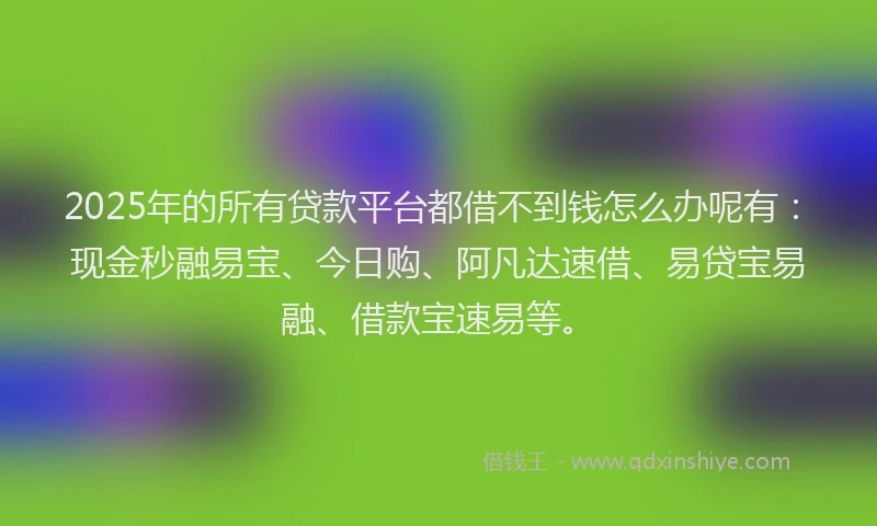 2025年的所有贷款平台都借不到钱怎么办呢有：现金秒融易宝、今日购、阿凡达速借、易贷宝易融、借款宝速易等。