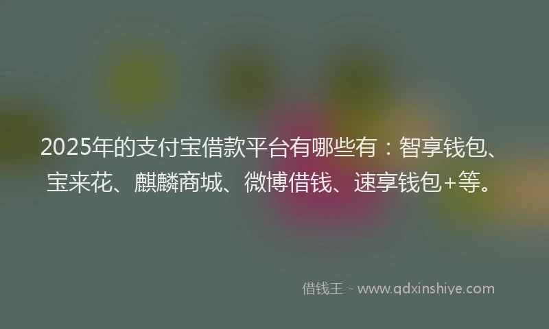 2025年的支付宝借款平台有哪些有：智享钱包、宝来花、麒麟商城、微博借钱、速享钱包+等。
