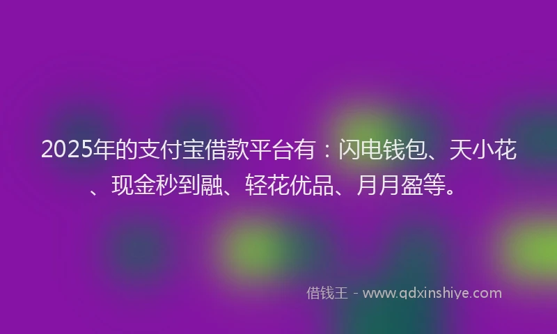 2025年的支付宝借款平台有：闪电钱包、天小花、现金秒到融、轻花优品、月月盈等。