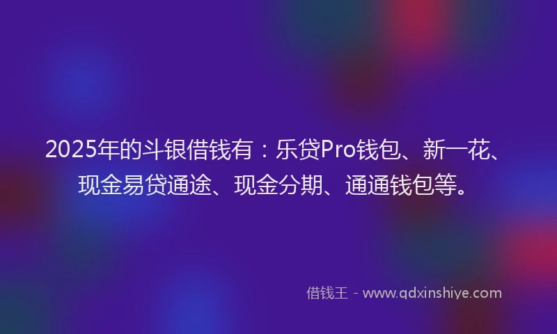 2025年的斗银借钱有：乐贷Pro钱包、新一花、现金易贷通途、现金分期、通通钱包等。