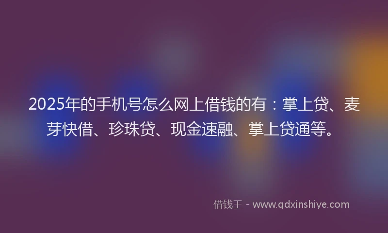 2025年的手机号怎么网上借钱的有：掌上贷、麦芽快借、珍珠贷、现金速融、掌上贷通等。