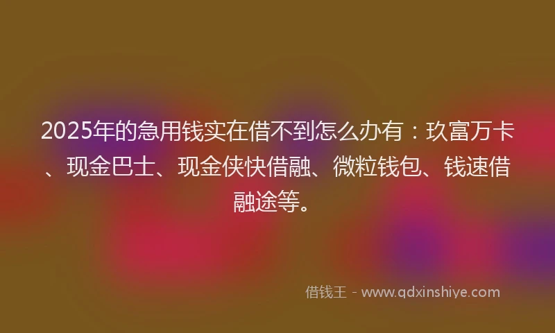 2025年的急用钱实在借不到怎么办有：玖富万卡、现金巴士、现金侠快借融、微粒钱包、钱速借融途等。