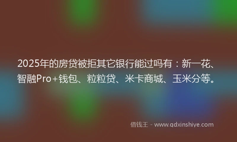 2025年的房贷被拒其它银行能过吗有：新一花、智融Pro+钱包、粒粒贷、米卡商城、玉米分等。