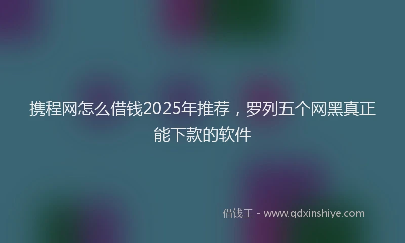 携程网怎么借钱2025年推荐，罗列五个网黑真正能下款的软件