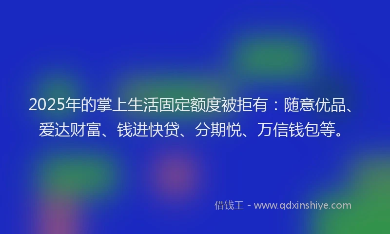 2025年的掌上生活固定额度被拒有：随意优品、爱达财富、钱进快贷、分期悦、万信钱包等。