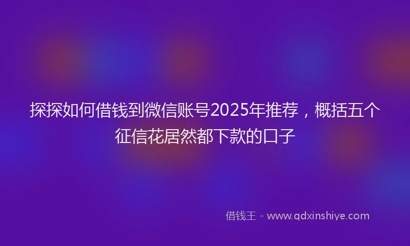探探如何借钱到微信账号2025年推荐，概括五个征信花居然都下款的口子