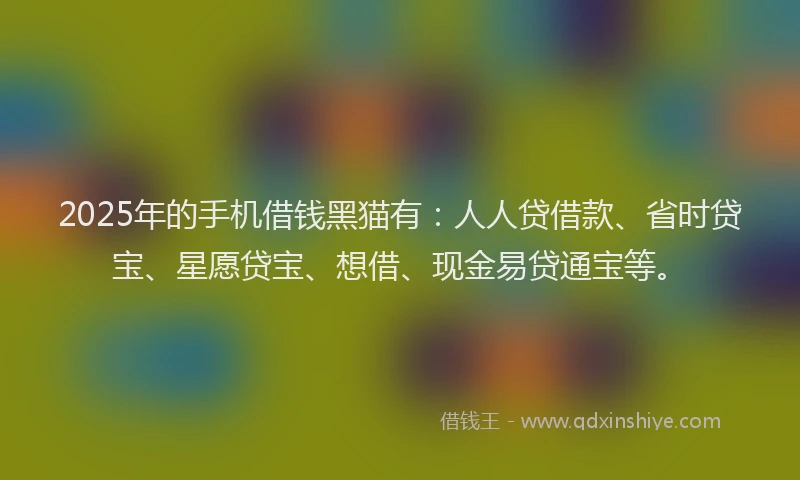 2025年的手机借钱黑猫有：人人贷借款、省时贷宝、星愿贷宝、想借、现金易贷通宝等。