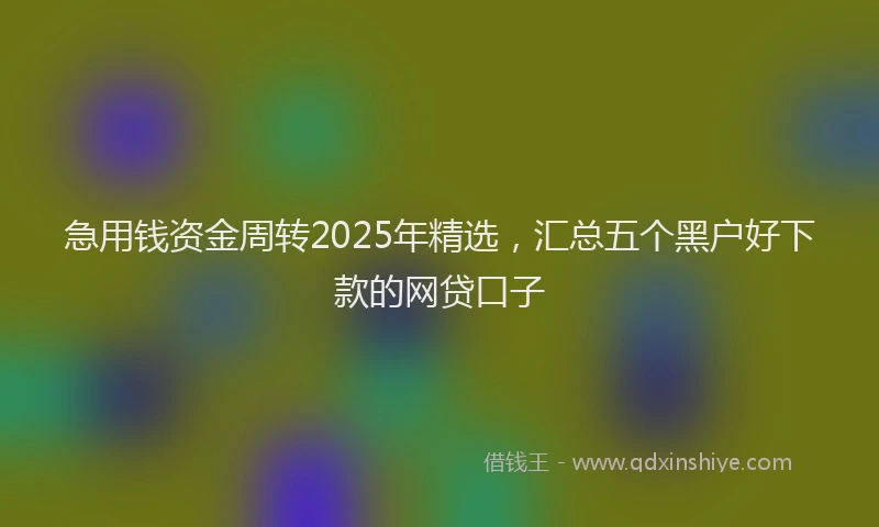 急用钱资金周转2025年精选，汇总五个黑户好下款的网贷口子