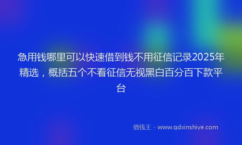 急用钱哪里可以快速借到钱不用征信记录2025年精选，概括五个不看征信无视黑白百分百下款平台