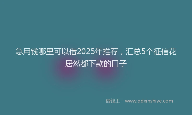 急用钱哪里可以借2025年推荐，汇总5个征信花居然都下款的口子