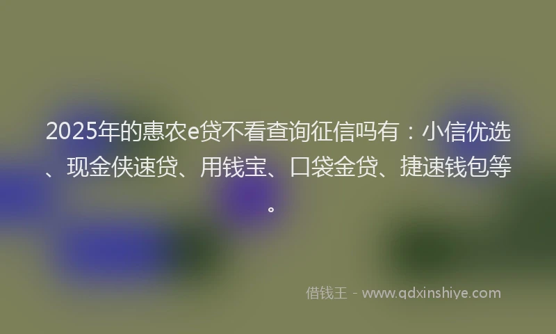 2025年的惠农e贷不看查询征信吗有：小信优选、现金侠速贷、用钱宝、口袋金贷、捷速钱包等。
