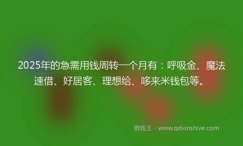 2025年的急需用钱周转一个月有：呼吸金、魔法速借、好居客、理想给、哆来米钱包等。