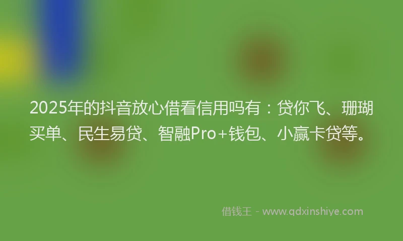2025年的抖音放心借看信用吗有：贷你飞、珊瑚买单、民生易贷、智融Pro+钱包、小赢卡贷等。