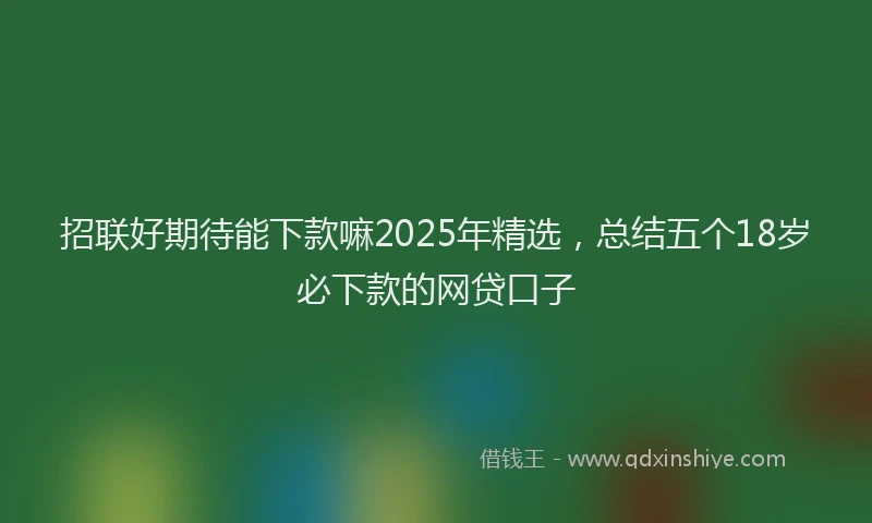 招联好期待能下款嘛2025年精选，总结五个18岁必下款的网贷口子