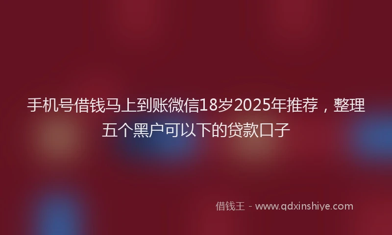 手机号借钱马上到账微信18岁2025年推荐，整理五个黑户可以下的贷款口子