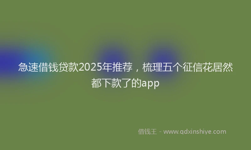 急速借钱贷款2025年推荐，梳理五个征信花居然都下款了的app