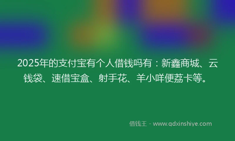 2025年的支付宝有个人借钱吗有：新鑫商城、云钱袋、速借宝盒、射手花、羊小咩便荔卡等。