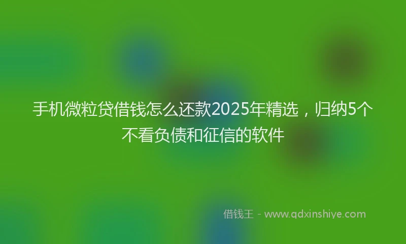 手机微粒贷借钱怎么还款2025年精选，归纳5个不看负债和征信的软件
