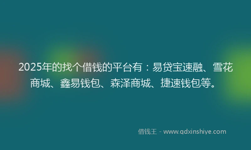 2025年的找个借钱的平台有：易贷宝速融、雪花商城、鑫易钱包、森泽商城、捷速钱包等。