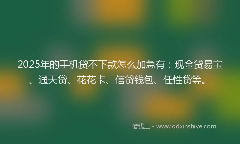 2025年的手机贷不下款怎么加急有：现金贷易宝、通天贷、花花卡、信贷钱包、任性贷等。