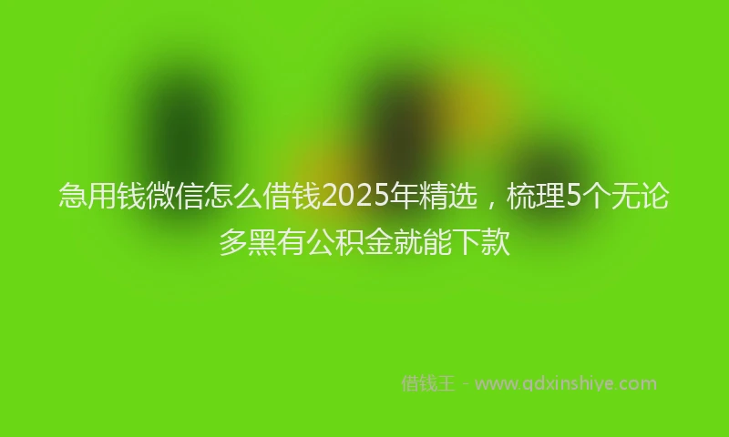 急用钱微信怎么借钱2025年精选，梳理5个无论多黑有公积金就能下款