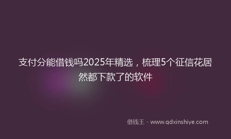 支付分能借钱吗2025年精选，梳理5个征信花居然都下款了的软件