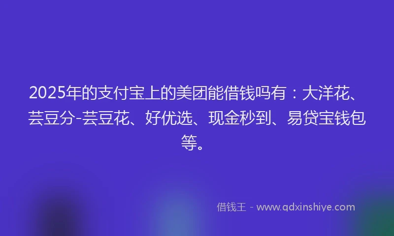 2025年的支付宝上的美团能借钱吗有：大洋花、芸豆分-芸豆花、好优选、现金秒到、易贷宝钱包等。