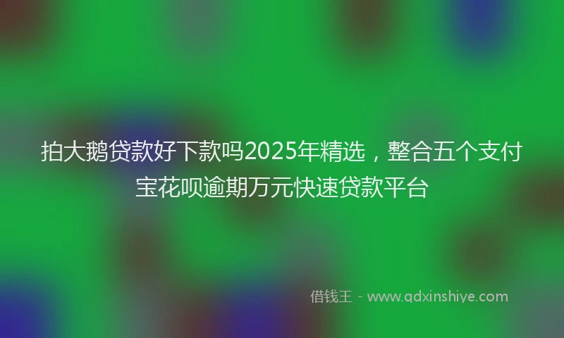 拍大鹅贷款好下款吗2025年精选，整合五个支付宝花呗逾期万元快速贷款平台