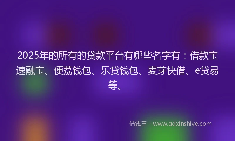 2025年的所有的贷款平台有哪些名字有：借款宝速融宝、便荔钱包、乐贷钱包、麦芽快借、e贷易等。