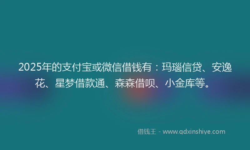 2025年的支付宝或微信借钱有：玛瑙信贷、安逸花、星梦借款通、森森借呗、小金库等。