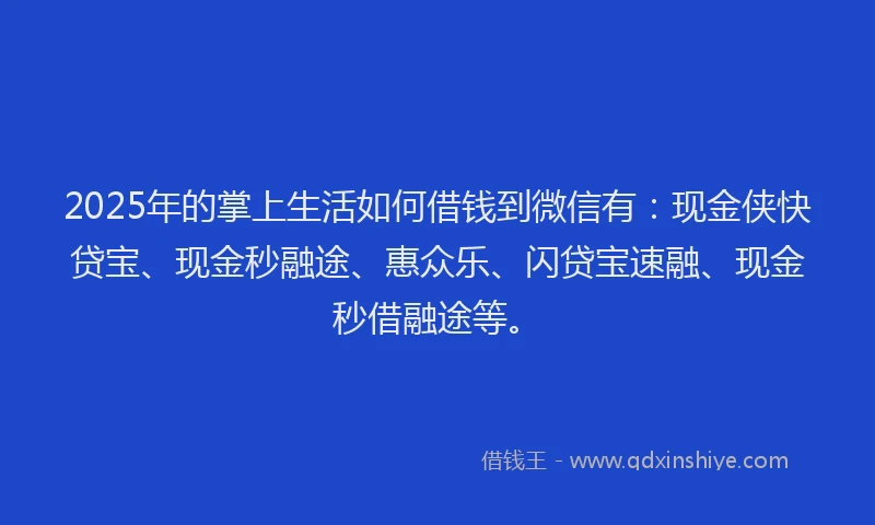 2025年的掌上生活如何借钱到微信有：现金侠快贷宝、现金秒融途、惠众乐、闪贷宝速融、现金秒借融途等。