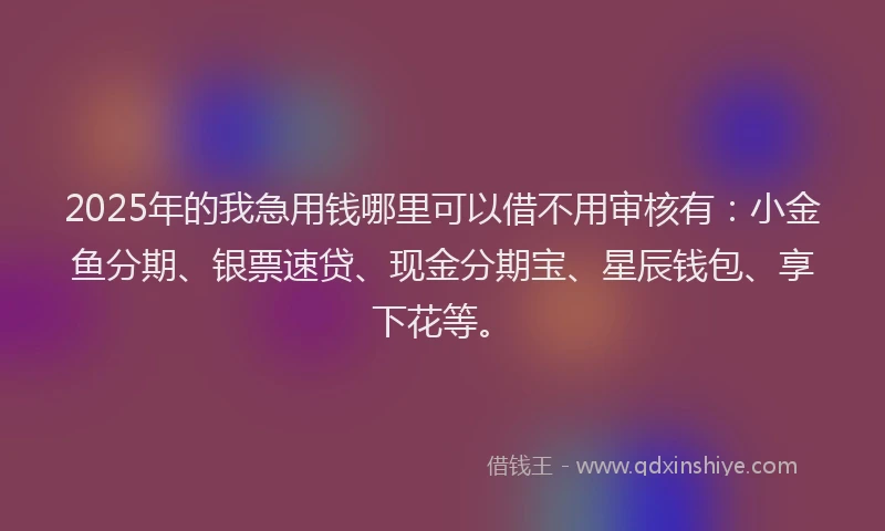 2025年的我急用钱哪里可以借不用审核有：小金鱼分期、银票速贷、现金分期宝、星辰钱包、享下花等。