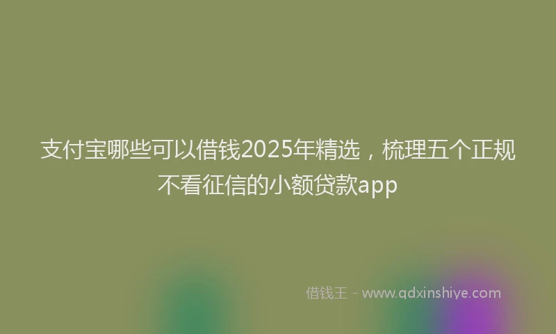 支付宝哪些可以借钱2025年精选，梳理五个正规不看征信的小额贷款app