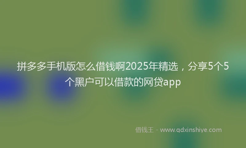 拼多多手机版怎么借钱啊2025年精选，分享5个5个黑户可以借款的网贷app
