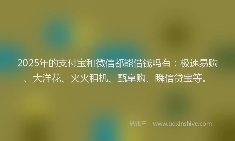 2025年的支付宝和微信都能借钱吗有：极速易购、大洋花、火火租机、甄享购、瞬信贷宝等。