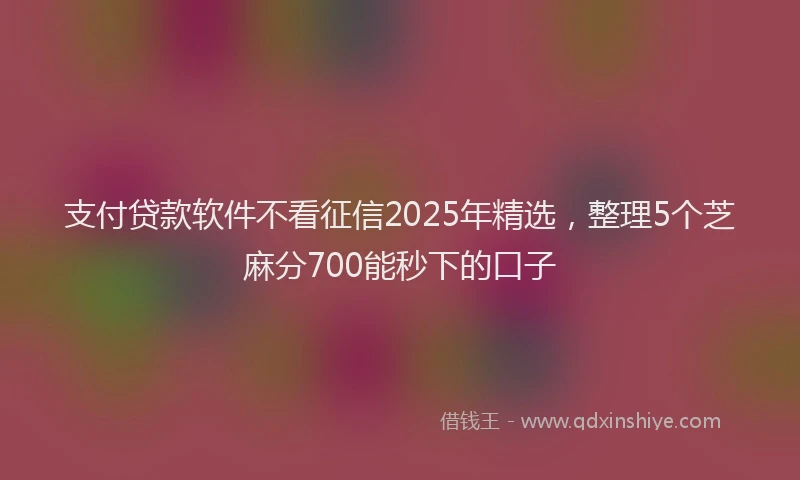 支付贷款软件不看征信2025年精选，整理5个芝麻分700能秒下的口子