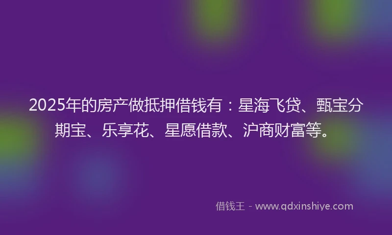 2025年的房产做抵押借钱有：星海飞贷、甄宝分期宝、乐享花、星愿借款、沪商财富等。