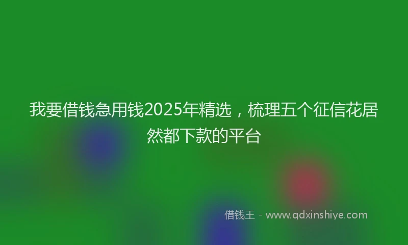 我要借钱急用钱2025年精选，梳理五个征信花居然都下款的平台