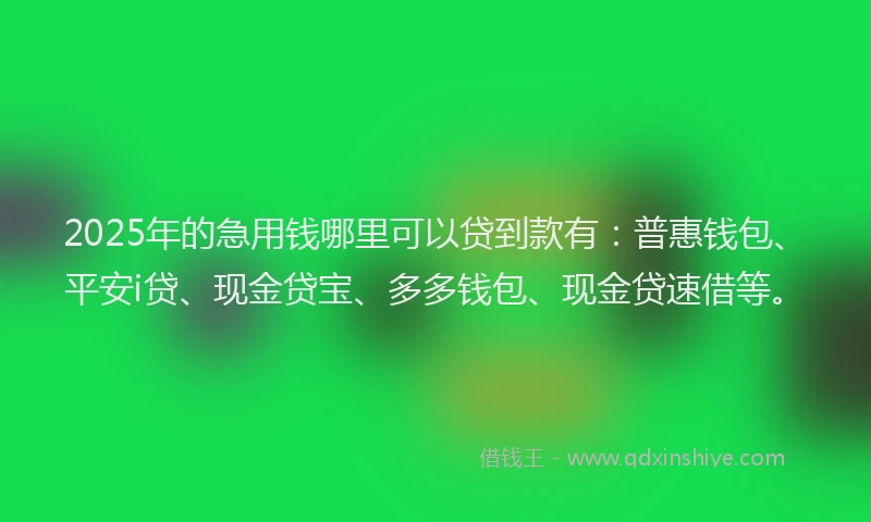 2025年的急用钱哪里可以贷到款有：普惠钱包、平安i贷、现金贷宝、多多钱包、现金贷速借等。
