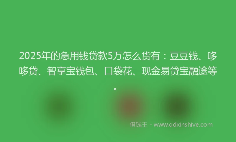 2025年的急用钱贷款5万怎么货有：豆豆钱、哆哆贷、智享宝钱包、口袋花、现金易贷宝融途等。