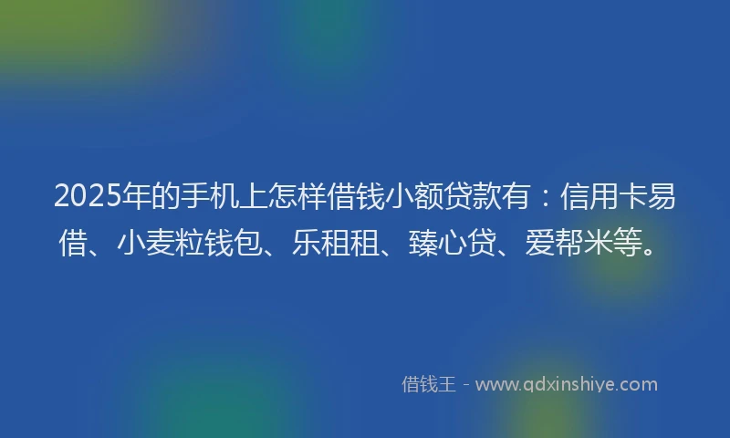 2025年的手机上怎样借钱小额贷款有：信用卡易借、小麦粒钱包、乐租租、臻心贷、爱帮米等。