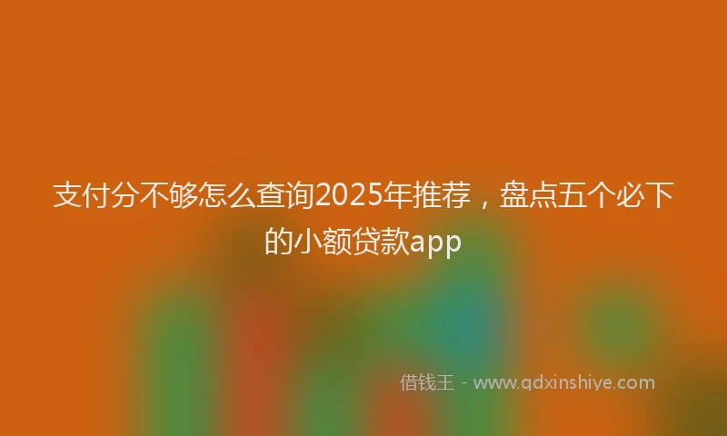 支付分不够怎么查询2025年推荐，盘点五个必下的小额贷款app