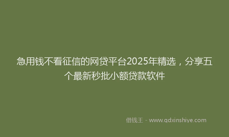 急用钱不看征信的网贷平台2025年精选，分享五个最新秒批小额贷款软件