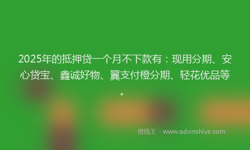 2025年的抵押贷一个月不下款有：现用分期、安心贷宝、鑫诚好物、翼支付橙分期、轻花优品等。