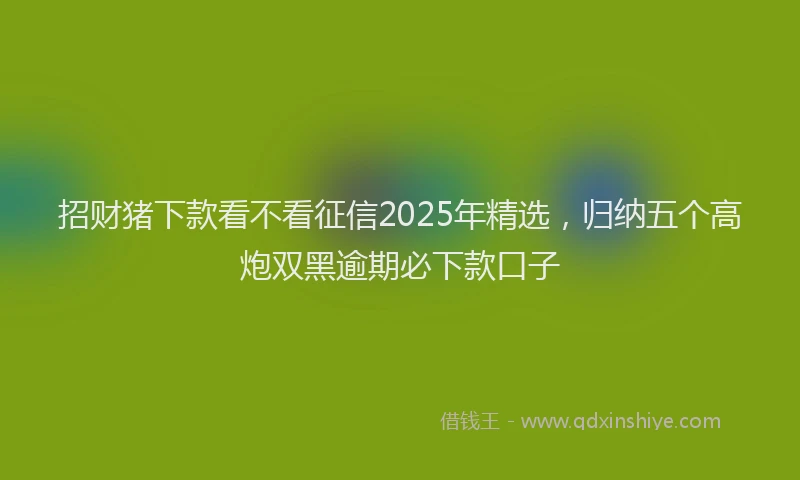 招财猪下款看不看征信2025年精选，归纳五个高炮双黑逾期必下款口子