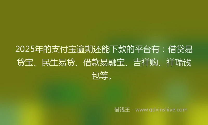 2025年的支付宝逾期还能下款的平台有：借贷易贷宝、民生易贷、借款易融宝、吉祥购、祥瑞钱包等。