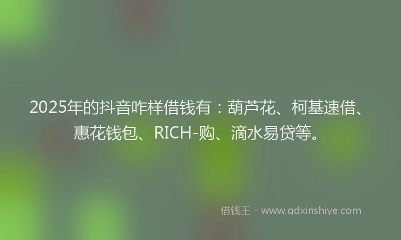 2025年的抖音咋样借钱有：葫芦花、柯基速借、惠花钱包、RICH-购、滴水易贷等。