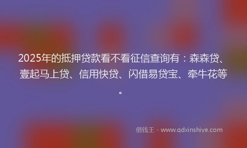 2025年的抵押贷款看不看征信查询有：森森贷、壹起马上贷、信用快贷、闪借易贷宝、牵牛花等。